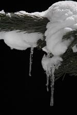 İLGİNÇ GÖRÜNTÜ - Erzurum Buz Tuttu