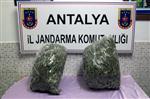 Manavgat’ta Uyuşturucu Operasyonu