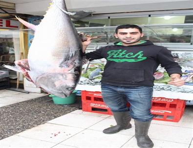 Manisa’da Satışa Çıkarılan Orkinos İlgi Odağı Oldu