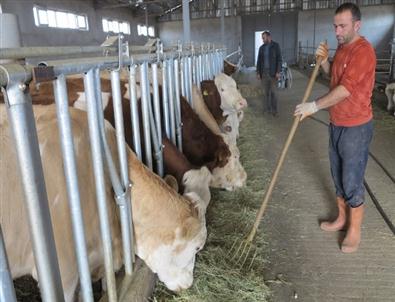 Daka İle Modern Hayvancılığa Geçti