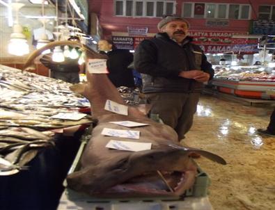 Malatya'da Satışa Sunulan Köpek Balığı İlgi Görüyor