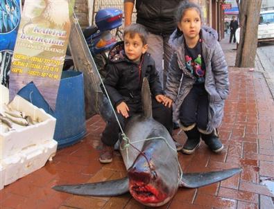 Çocukların Köpek Balığıyla Pozu