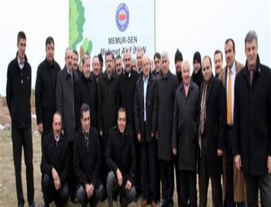 Memur-sen Daha Yeşil Bir Türkiye İçin 1 Milyon Fidanı Toprakla Buluşturuyor