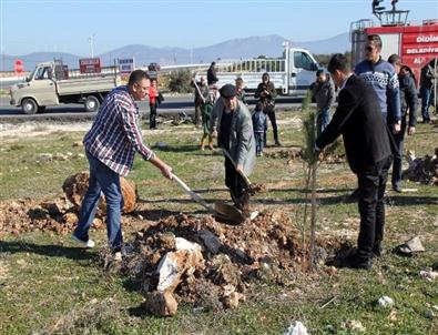 Didim 75 Gençlik Oluşumdan Doğaya Katkı