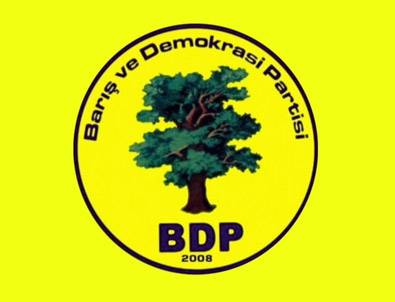 BDP'nin Diyarbakır adayı Gültan Kışanak