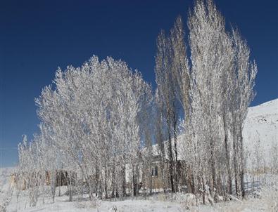 Çaldıran İlçesi Buz Kesti