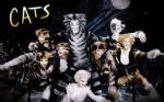 ANDREW - Cats Müzikali, 21 Ocak'ta İstanbul'da