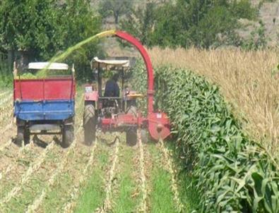 Dalaman’da 95 Üreticiye 219 Bin Tl Yem Desteği