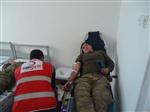 JANDARMA ALAY KOMUTANLIĞI - Jandarmadan Kan Bağışı
