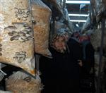 MUSTAFA ÜNALDı - Kadın Çiftçilere Özel ‘sera Projesi’