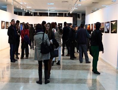 Nkfa ‘en İyiler 2013’ Fotoğraf Sergisi Açıldı