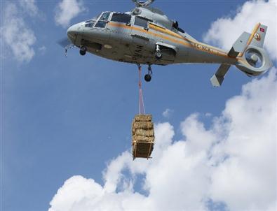 (özel Haber) Yaban Hayvanları İçin Doğaya Yem Bırakıldı