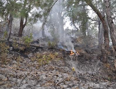 Alanya'da Mezarlıkta Çıkan Yangın Korkuttu