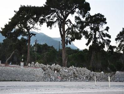 Kırkağaç Çam Festival Alanının Duvarları Bir Kez Daha Örülüyor