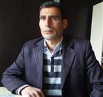 Kulp'Ta 15 Küçükbaş Hayvan Telef Oldu