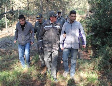 Yılbaşı Fidanı Kesene Hapis Cezası