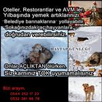 GARIBAN - 'Bu Yılbaşı Bir Aç Can Doyurun'