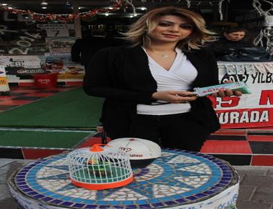 (özel Haber) Türkiye Adanalı Şans Meleğine Akın Ediyor