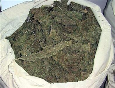 Jandarma Uyuşturucu Madde Ele Geçirdi