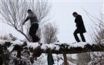 SAĞLıK MENSUPLARı DERNEĞI - (özel Haber) Bitlis’in Sıra Dışı Doktorları İş Başında