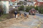 ALTıNKENT - Başiskele Altınkent Mahallesi’nde Ana Cadde Düzenlemesi