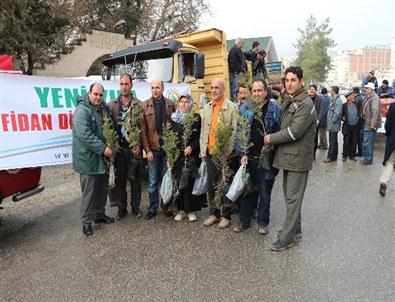 Mut'ta 5 Bin Fidan Dağıtıldı