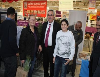 Ormancılardan 5 Bin Adet Yılbaşı Fidanı