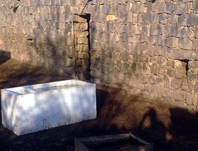 Ahırda Yaşayan Engelli Kıza Devlet Sahip Çıktı