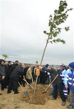 İzmir’de Yeşil Seferberliği