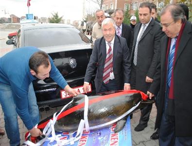 Kaymakamın Makam Aracından ‘yunus’ Çıktı