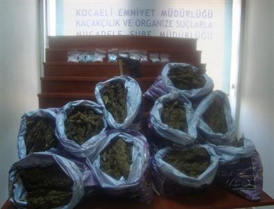 Narkotik Polisi Torbacılara Göz Açtırmıyor