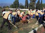 Tema’dan Gönüllülere Çölleşmeyle Mücadele Çağrısı