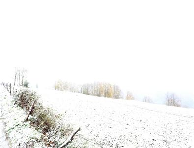 Sakarya Tepelerine Yılın İlk Karı Yağdı