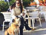 ENGİN ALTAN DÜZYATAN - Eski köpeğiyle hasret giderdi
