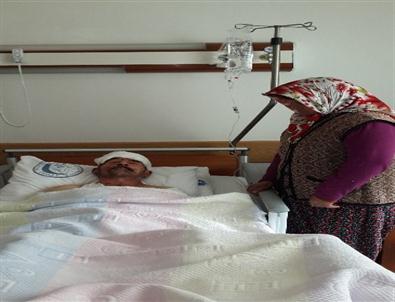 Kayıp Koyununu Ararken Köpeklerin Saldırısına Uğradı