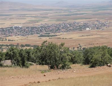 Kazımkarabekir İlçesine Mesire Alanı Projesi