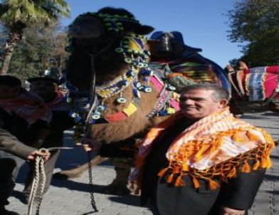 Develerle Şehir Turu