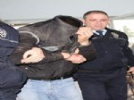 Kapkaççı Polisten Kaçamadı