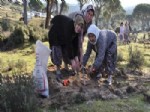Orman İşletme 2013’te Hedef Büyüttü