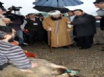AHMET MAHMUT ÜNLÜ - Cübbeli Hoca, 15 Ay Sonra Geldiği Bursa’da Kurban Kesilerek Karşılandı