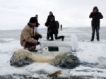 BALIK AVI - Eskimo Usulü Balık Avına Fotoğrafçı İlgisi