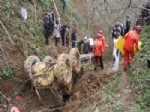 TAYFUR ELBASAN - Giresun'da İş Makinesinin Altında Kalan Operatör Hayatını Kaybetti