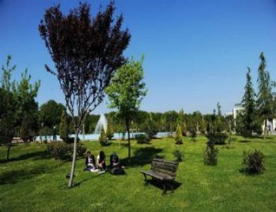 Saü Yükselişini Sürdürüyor