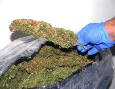 Siverek’te 6 Kilo Esrar Ele Geçirildi