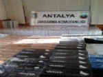 Antalya’da Kaçak Sigara Operasyonu