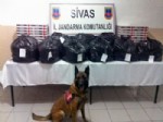 Sivas'ta 51 Kilo Esrar Ele Geçirildi