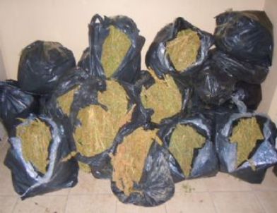 Tarsus’ta 135 Kilo Esrar Ele Geçirdi