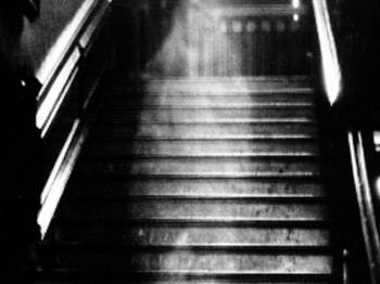 İster inan ister inanma!