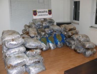 Sakarya'da 520 Kilo Kubar Esrar Ele Geçirildi