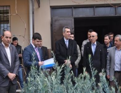 Demirci’de Vatandaşa 22 Bin Fidan Dağıtılacak